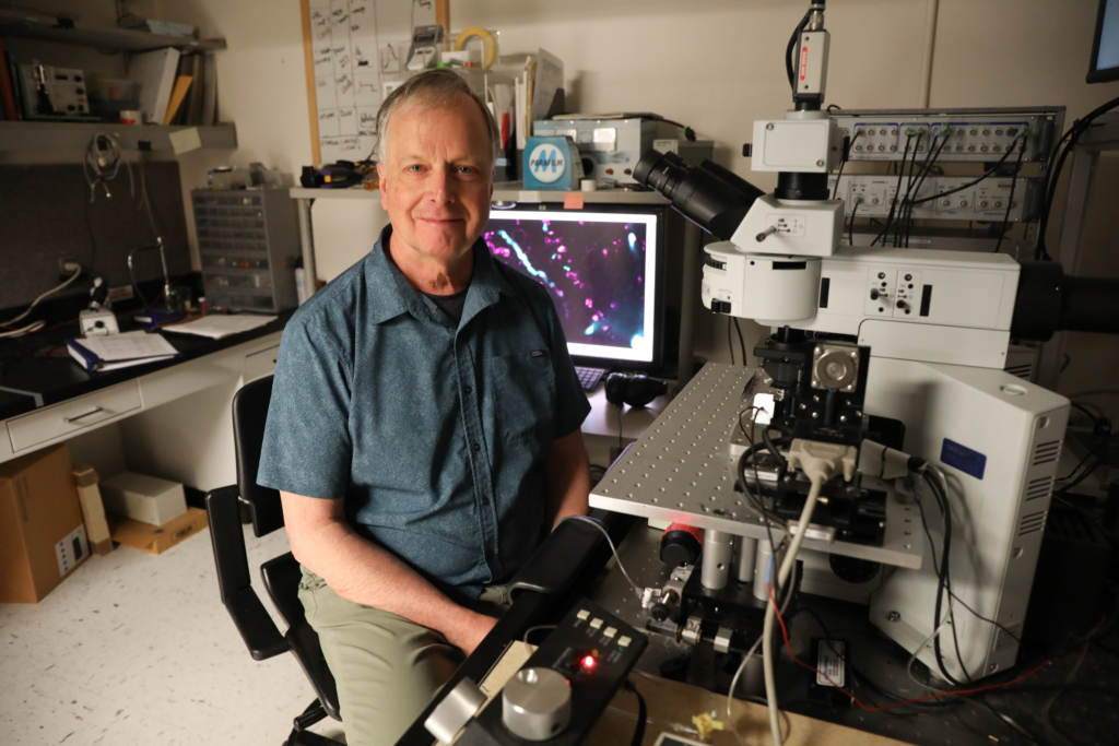 Serotonin Tinnitus Severity Study